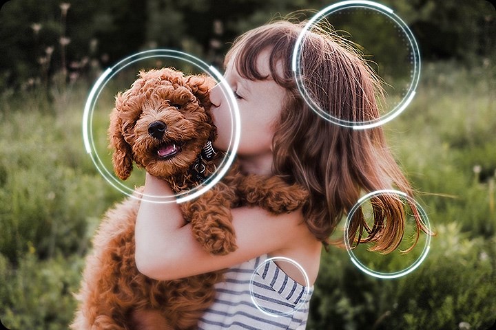 Samsung QE75QN90F 4K